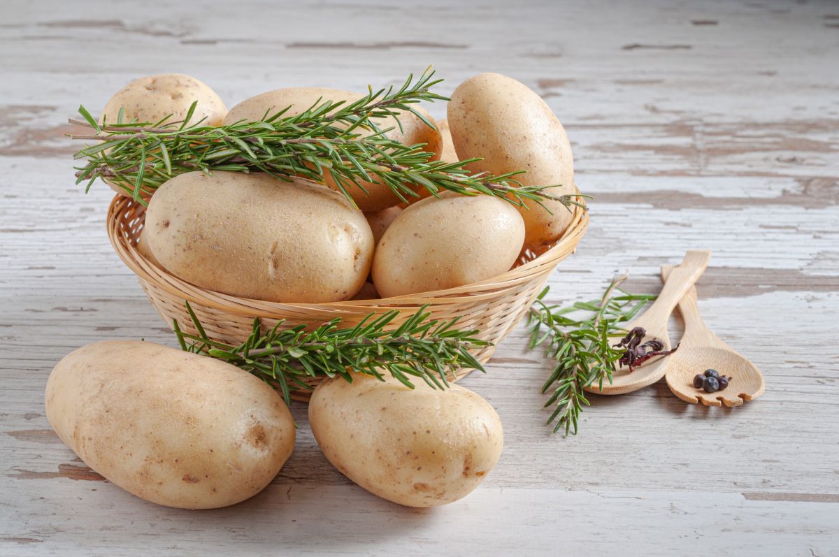 So vielseitig ist die Kartoffel: Herkunft, Nährstoffe und die Zubereitung zu Knödel, Pommes und viel mehr