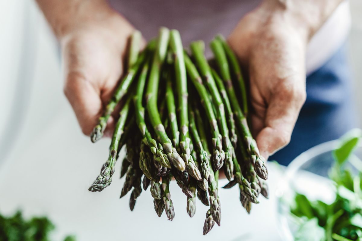 Zur diesjährigen Spargelsaison alles über den Spargel und wie man ihn am leckersten zubereitet