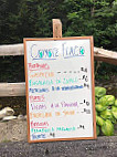 Coyote Flaco menu