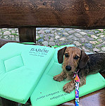 Pension Schwalbenhof menu