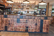 Hippopotamus inside