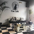 Cat Cafe outside