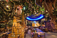Rainforest Cafe inside
