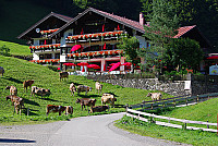 Alpengasthof Schwand outside