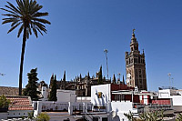 Fulton Terraza inside