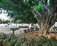 Onrador Del Convento De San Leandro outside