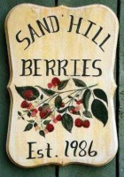 Sand Hill Berries food