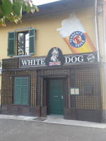White Dog inside