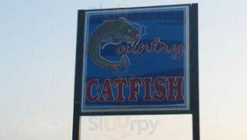 Country Catfish food