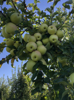 Melick's Town Farm food