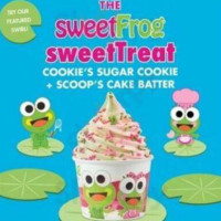 Sweetfrog Premium Frozen Yogurt food