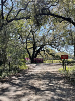 Charleston Tea Garden food