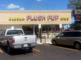 Plush Pup food