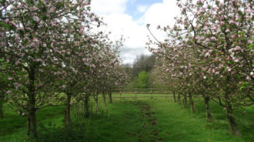 The Cider Vat food