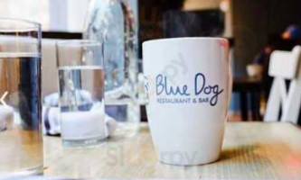 Blue Dog Kitchen 23rd Street food