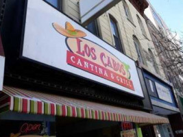Los Cabos Cantina Grill Downtown inside