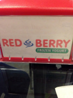 Red Berry Frozen Yogurt food