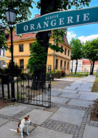 Kleine Orangerie outside