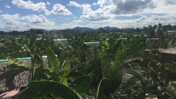 Banana Farm outside