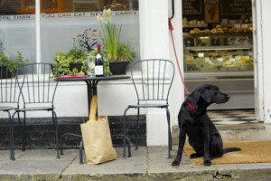 Tisbury Delicatessen food