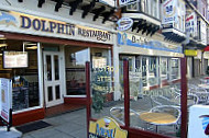 Dolphin outside