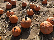 Hank's Pumpkintown food