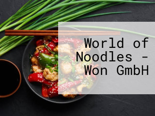 World of Noodles - Won GmbH
