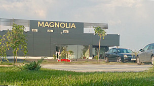 Magnolia Buzau