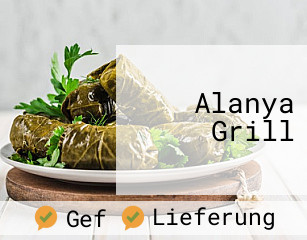 Alanya Grill Wenden