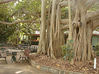 Garden Tearooms