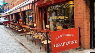 The Grapevine