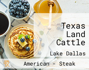 Texas Land Cattle