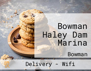 Bowman Haley Dam Marina
