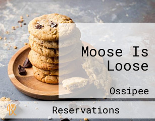 Moose Is Loose