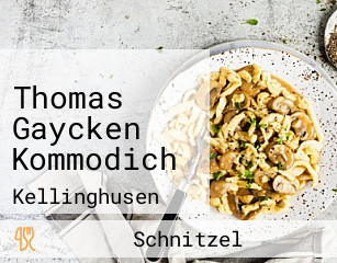 Thomas Gaycken Kommodich