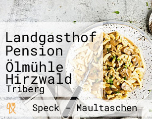 Landgasthof Pension Ölmühle Hirzwald