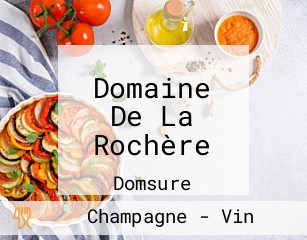 Domaine De La Rochère