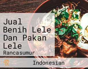 Jual Benih Lele Dan Pakan Lele