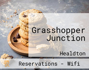 Grasshopper Junction