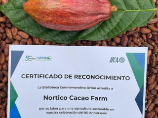 Nortico Cacao Farm