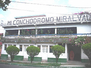 Mi Conchodromo Miralvalle