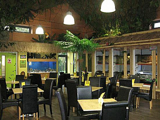 The Yellow Frog Cafe