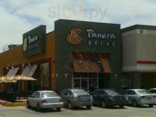 Panera Bread