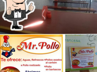 Mr.pollo