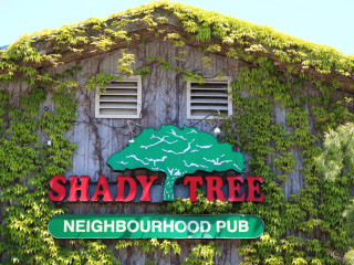 Shady Tree Pub