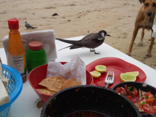 Oscar's Beach Side Eatery