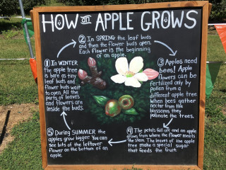 Windy Hill Orchard Cidery
