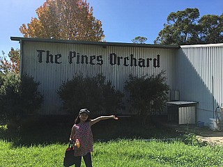 The Pines Orchard