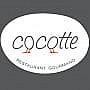 Cocotte