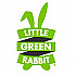 Little Green Rabbit